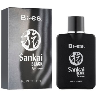 Туалетная вода BI-ES Sankai Black для мужчин 100 мл