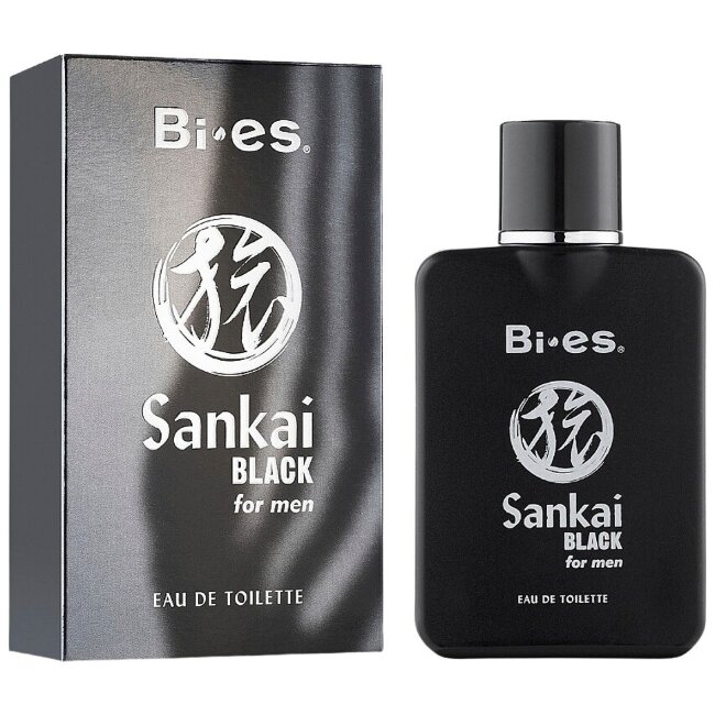 Туалетная вода BI-ES Sankai Black для мужчин 100 мл