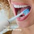 Сменные насадки Philips Sonicare C3 Premium Plaque Defence 3 шт/упаковка, HX9043/87