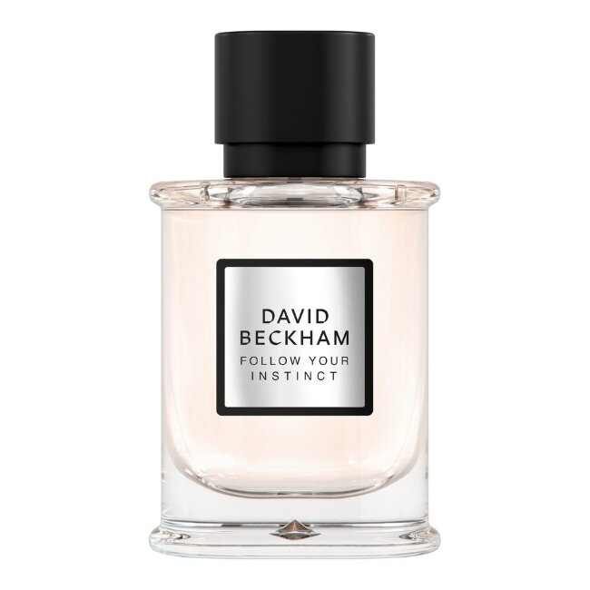 Парфюмерная вода David Beckham Follow Your Instinct 50 мл Парфюмерная вода David Beckham Follow Your Instinct 50 мл