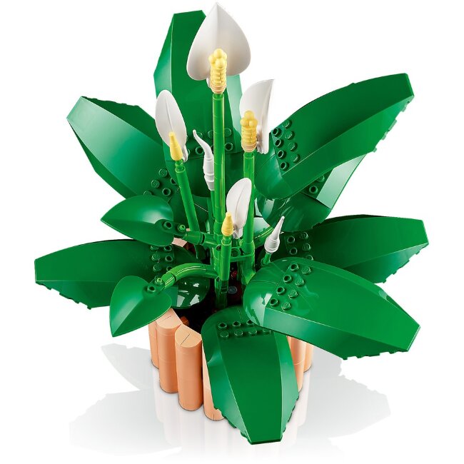 Конструктор LEGO® Botanicals Viirivehka 11504