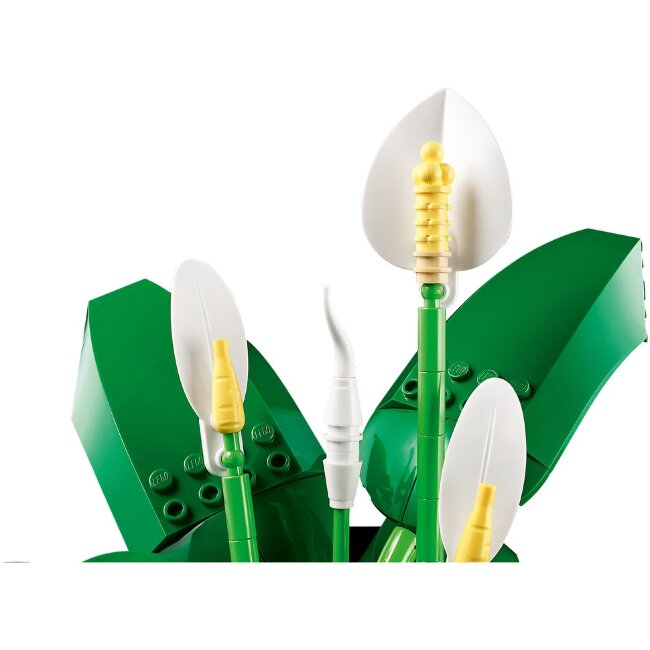 Конструктор LEGO® Botanicals Viirivehka 11504