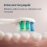 Электрическая зубная щетка Philips Sonicare 2100 HX4021/03 розовая Электрическая зубная щетка Philips Sonicare 2100 HX4021/03 розовая