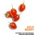 Крем для ухода за волосами Wella Professionals Invigo Nutri Enrich Frizz Control 150 мл