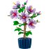 LEGO® Botanicals Гибискус 10372