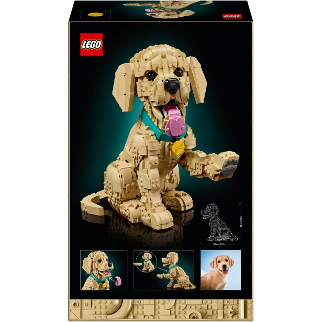 Конструктор LEGO® Icons 11384 щенок золотистого ретривера
