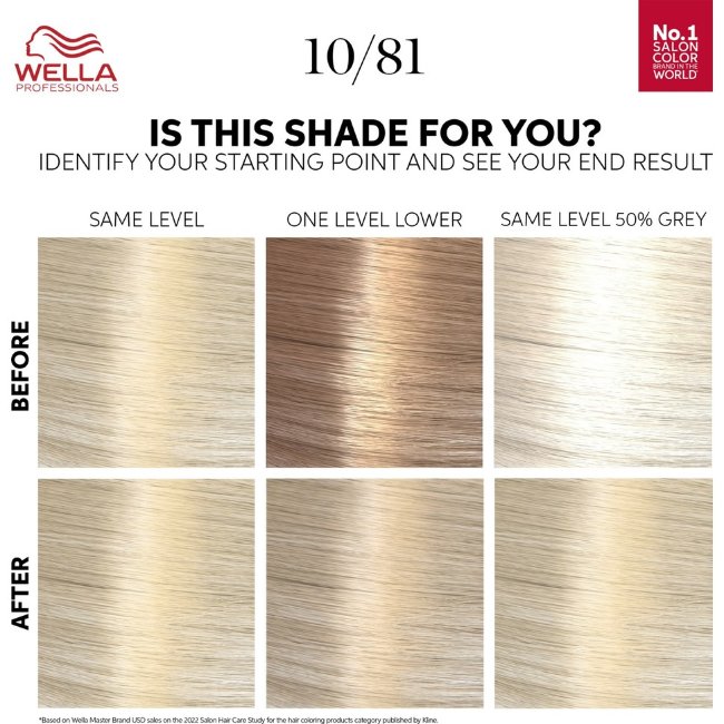 Краска для волос Wella Professionals Color Touch Rich Natural Platinum Blonde 10/81 130 мл Краска для волос Wella Professionals Color Touch Rich Natural Platinum Blonde 10/81 130 мл