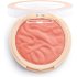 Румяна Makeup Revolution Reloaded Rhubarb and Custard