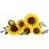 Набор LEGO® Botanicals 11502 Букет из подсолнухов