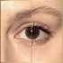 Тушь для ресниц Max Factor False Lash Effect черная 13,1 мл Тушь для ресниц Max Factor False Lash Effect черная 13,1 мл