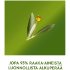 Краска для волос Schwarzkopf Natural & Easy 590 Ebenpuu Musta Краска для волос Schwarzkopf Natural & Easy 590 Ebenpuu Musta
